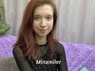 Minamiler
