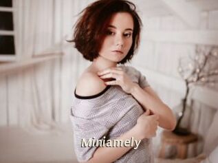 Miniamely