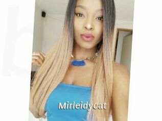 Mirleidycat