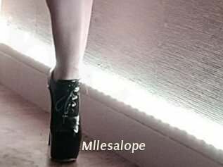 Mllesalope