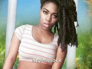 Modelmook