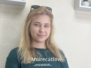 Moirecatlow