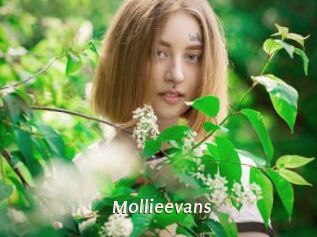 Mollieevans