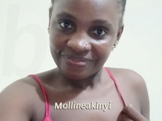 Mollineakinyi