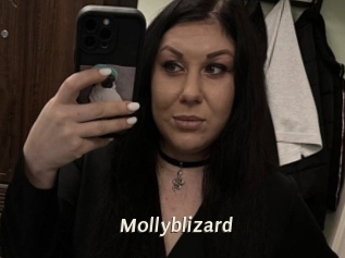 Mollyblizard