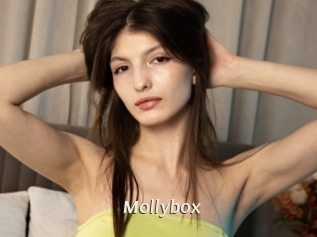 Mollybox