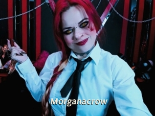 Morganacrow