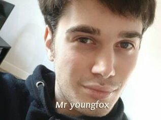 Mr_youngfox
