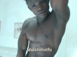 Mulatohotfu