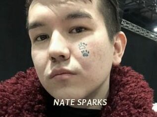 NATE_SPARKS