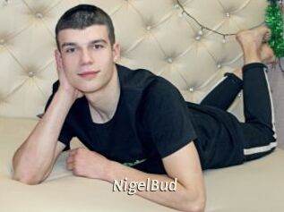 NigelBud