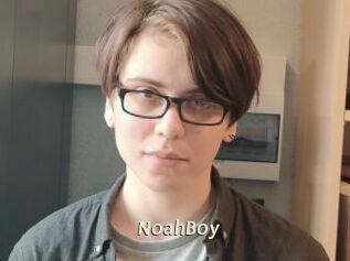 NoahBoy