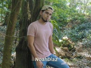 NoahDiaz