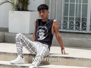 NoahFlymm