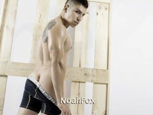 NoahFox
