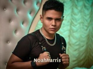 NoahHarris