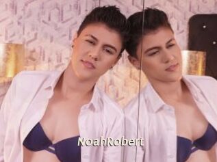 NoahRobert