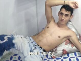 Noah_Bunny