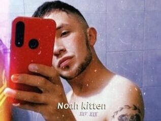 Noah_kitten