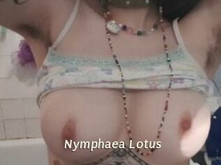 Nymphaea_Lotus
