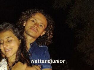 Nattandjunior