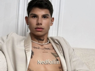 Nedfollin