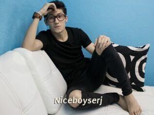 Niceboyserj