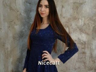 Nicecatt