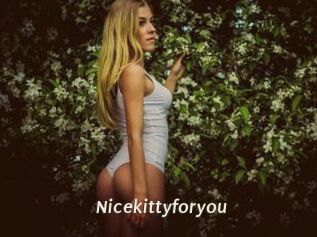 Nicekittyforyou