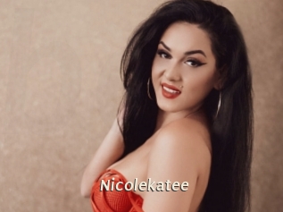 nicolekatee Blog éjac
