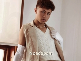 noadupont Blog éjac