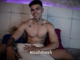 noahmush Blog éjac