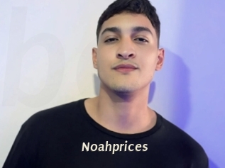 Noahprices