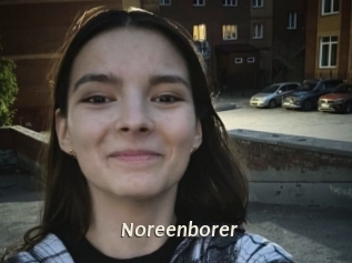 Noreenborer
