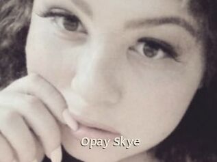 Opay_Skye
