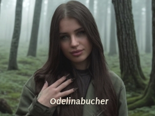 Odelinabucher
