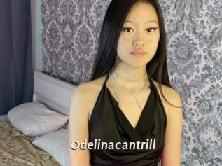 Odelinacantrill
