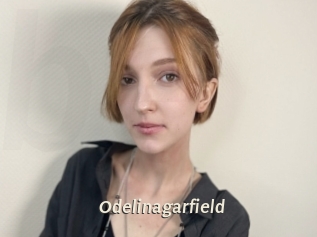 Odelinagarfield