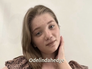 Odelindahedge
