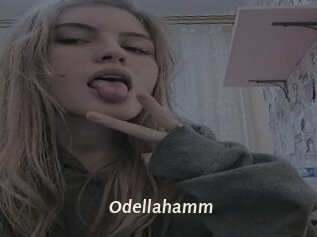 Odellahamm