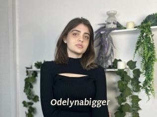 Odelynabigger