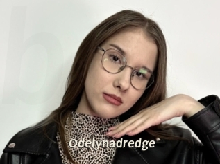 Odelynadredge
