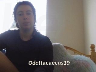 Odettacaecus19