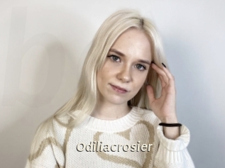 Odiliacrosier