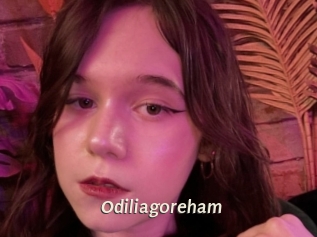 Odiliagoreham