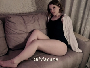 Oliviacane