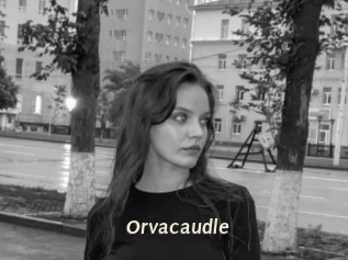Orvacaudle