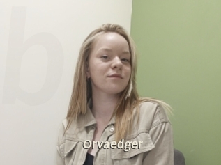 Orvaedger