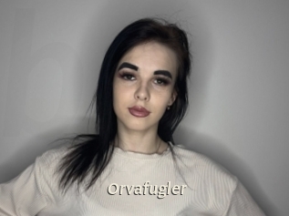 Orvafugler