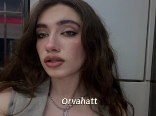 Orvahatt
